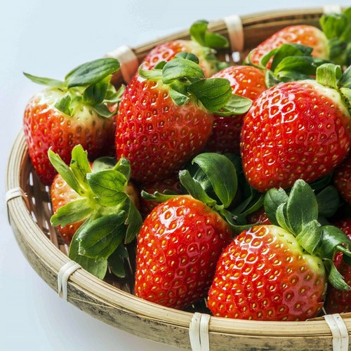 [산지에서바로]단단한 고당도 설향 딸기 프리미엄, 1개, 딸기 2kg(특)