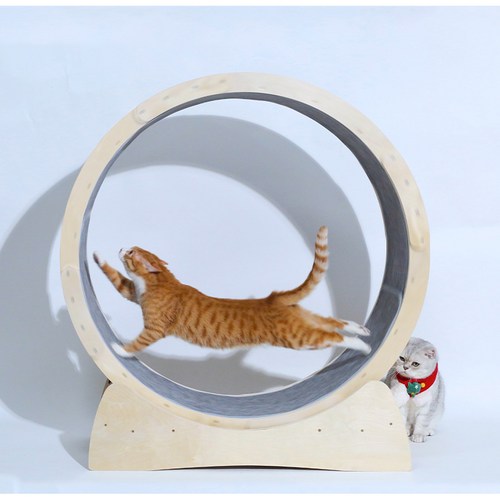 라이겟 CATWAY 무소음 원목캣휠 원형회전 러닝머신 소형 중형