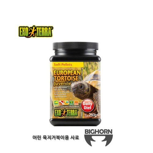 육지거북이사료