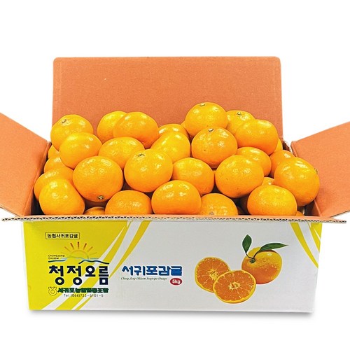리사월릿
