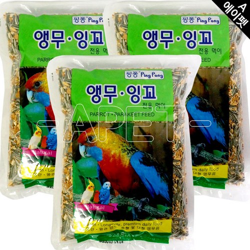 핑퐁새모이