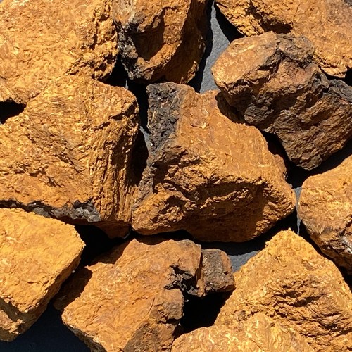 방앗간청년 차가버섯, 1개, 300g