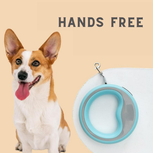 비다앤코 핸즈프리 애완견 리드줄 산책줄, 블루, 1개