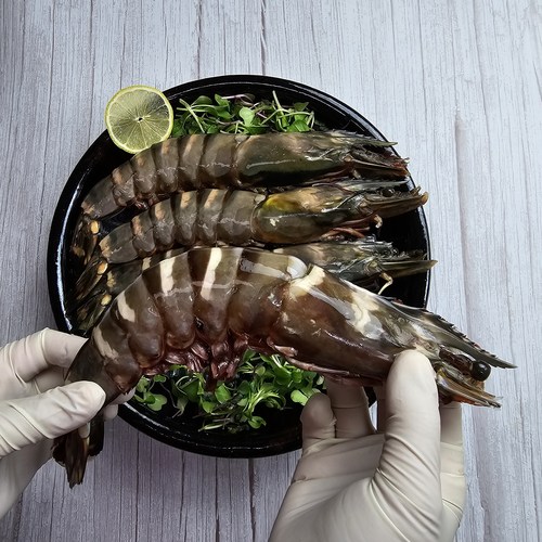 라인마트 맛도 King 크기도 King 입안 가득 킹타이거 새우 180~220g 4미, 4개, 180g~220g