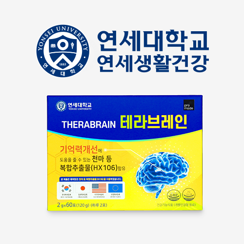 [정식판매처] 연세대 테라 브레인 기억력 두뇌 건강 기능식품 천마 가루 뇌 홍경천 아연 연세생활건강, 120g, 1박스