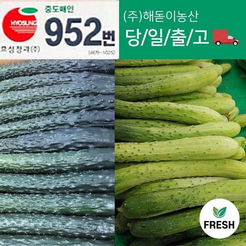 오이겐미나베