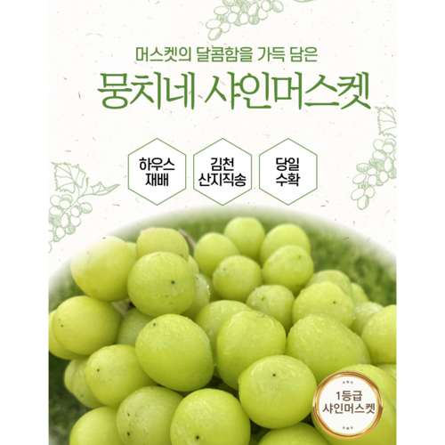 김천 뭉치네 샤인머스캣 샤인머스켓, 1박스, 특등급 2kg