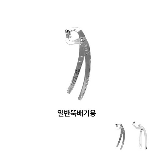 꿈에본집게