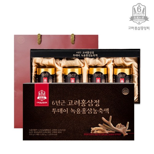 고려홍삼중앙회 6년근 고려홍삼정 투데이 녹용홍삼 농축액 + 쇼핑백, 2세트, 1kg