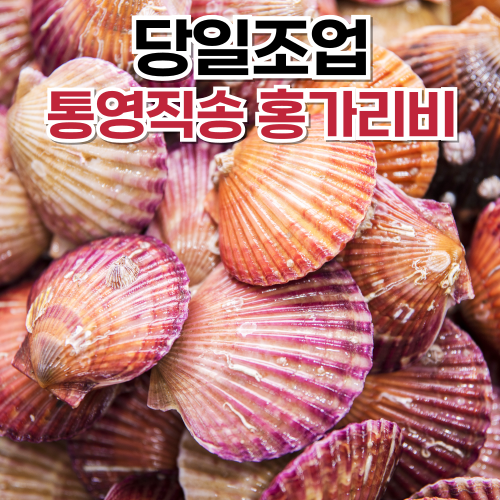 [당일채취] 통영 세척 가리비 비단 홍가리비, 1개, 1kg
