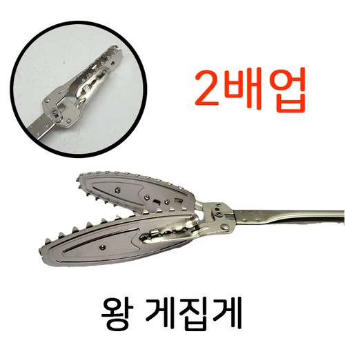 밤집게