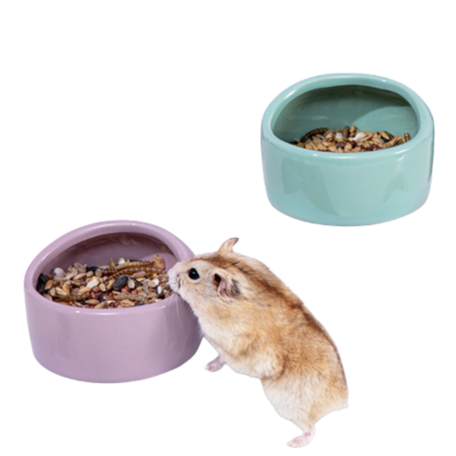 햄스터산책