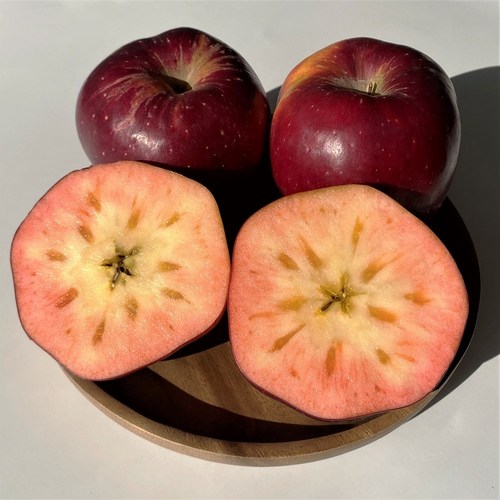 [명인농가] 피치애플 엔부사과 고당도 블러드사과 복숭아사과, 1박스, [가정용] 1kg(혼합과)