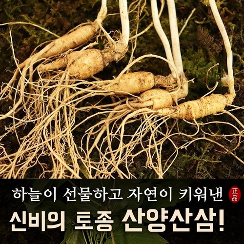 산양산삼