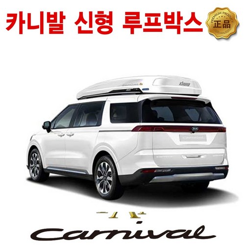 카니발루프박스