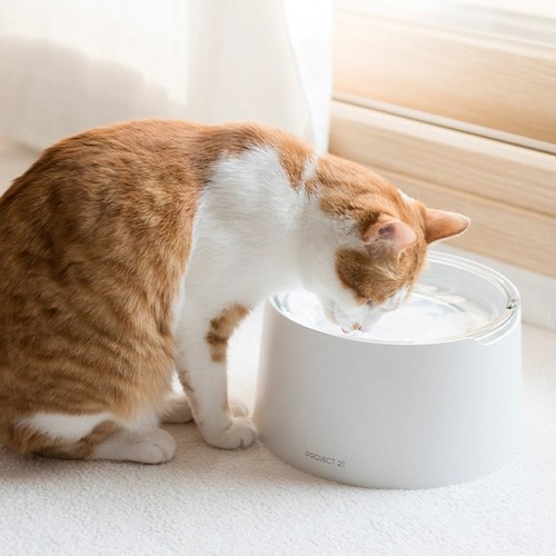 고양이물그릇 추천 7