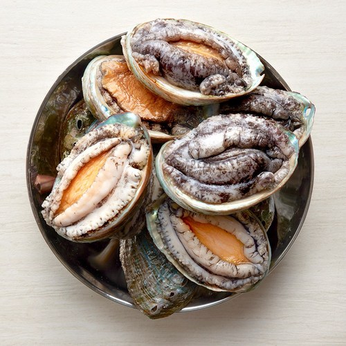 삼삼해물