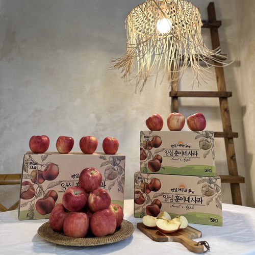 껍질째먹는 훈이네 경북 청송 가정용 선물용 꿀사과, 5kg (가정용 혼합), 1개