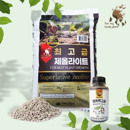 그릇된흙