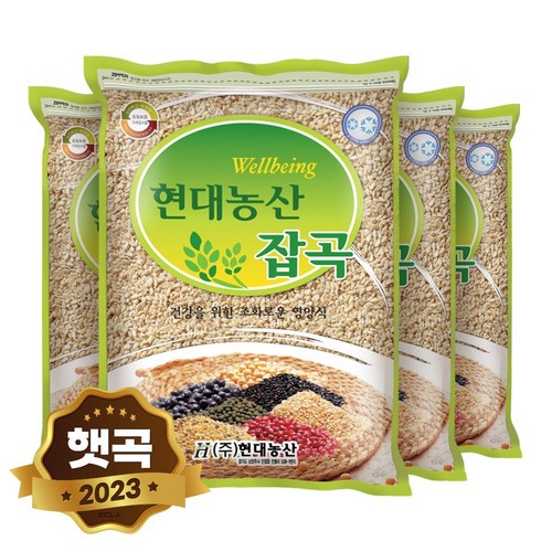 대맥