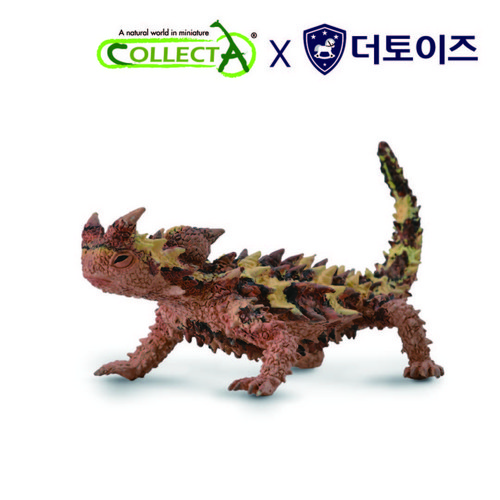 도마뱀옷