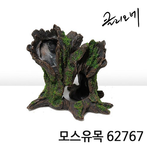 도마뱀유목