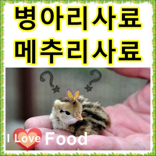 메추리산란사료