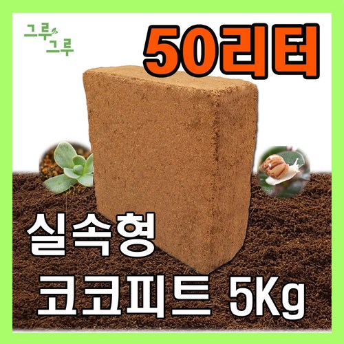 코코피트 추천 7