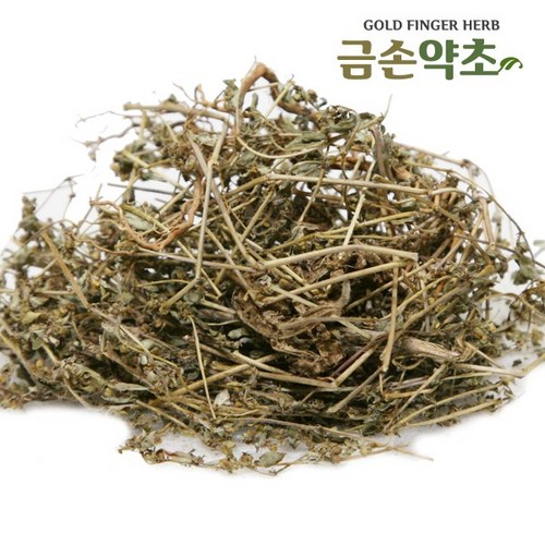 비단풀