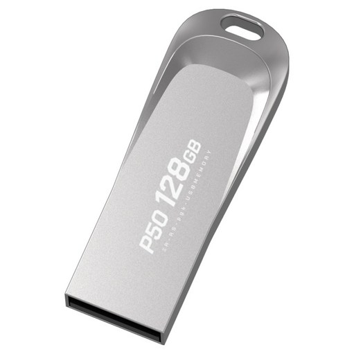 PLEIGO USB 메모리 P50, 128GB, 1개