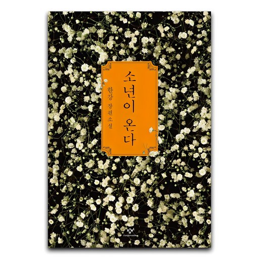 소년이 온다:한강 장편소설