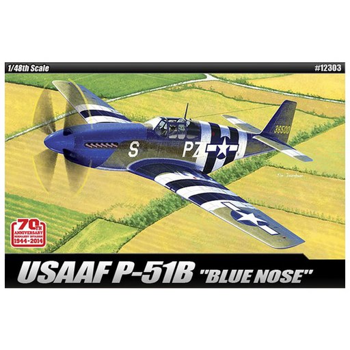 아카데미과학 USAAF P-51B Blue nose