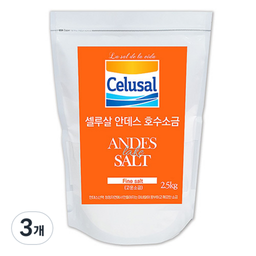 셀루살 안데스 호수 고운 소금