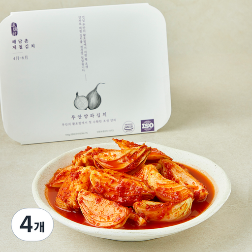 해담촌 무안 양파김치