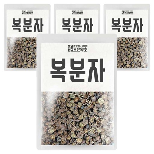 조은약초 건조 복분자