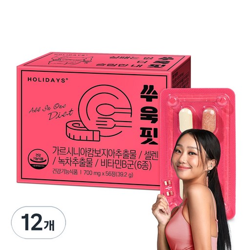 홀리데이즈 쑤욱핏