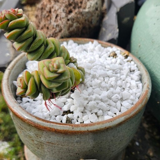 백색 마사토 자갈 대립 10L