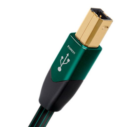 오디오퀘스트 USB 2.0 Forest A to B USB 2.0 AV케이블 1.5m