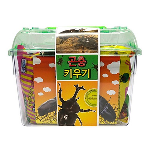 아마존 곤충 키우기 세트 장수풍뎅이