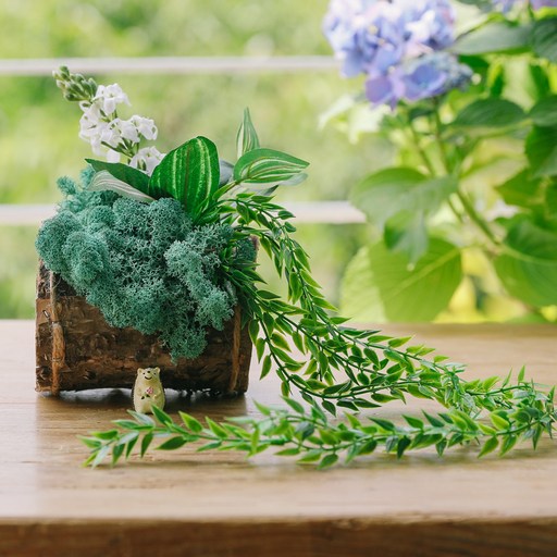 리빙앤유 비밀의 숲 통나무 행잉 스칸디아모스 화분 C세트