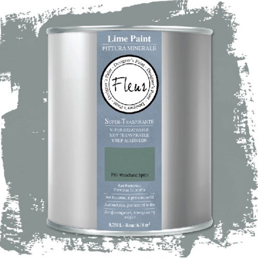 Fleur 아크릴 컬러 라임 페인트 우드랜드 스피릿