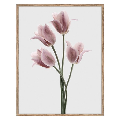 아트마트 빈티지 꽃그림 알루미늄 액자 Tulips Pink 디자인 파브리큰