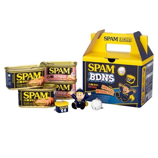 스팸 BDNS 클래식 200g x 2p + 닭가슴살 200g x 2p + 키링 세트