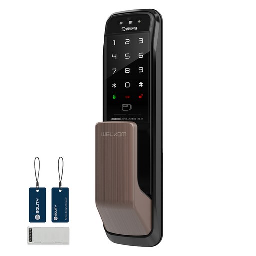 솔리티 3D 얼굴인식 무타공 푸시풀 손잡이 도어락