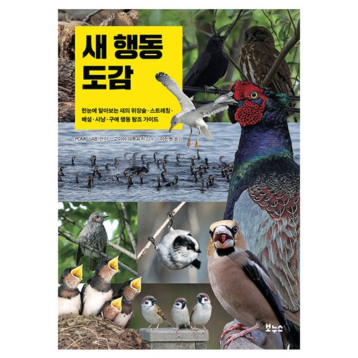 새 행동 도감:한눈에 알아보는 새의 위장술·스트레칭·배설·사냥·구애 행동 탐조 가이드