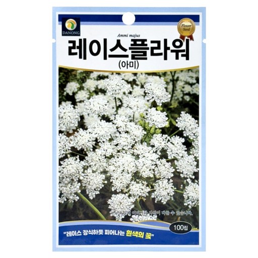 다농 레이스플라워 아미 씨앗 100p