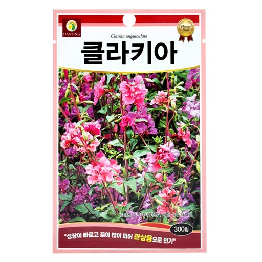 다농 클라키아 씨앗 300p
