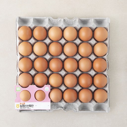 [로켓프레시] 농협 무항생제 인증 신선 특란 1.8kg