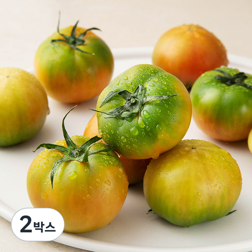 새벽경매 짭잘한 대저토마토