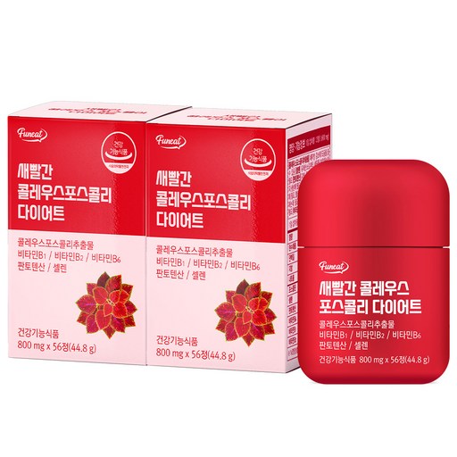 퍼니트 새빨간 콜레우스 포스콜리 다이어트